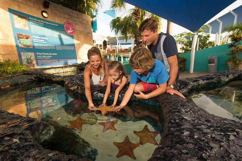 Cancún: Interactive Aquarium Admission - Axolotl Exhibit and the iPad Zone Break