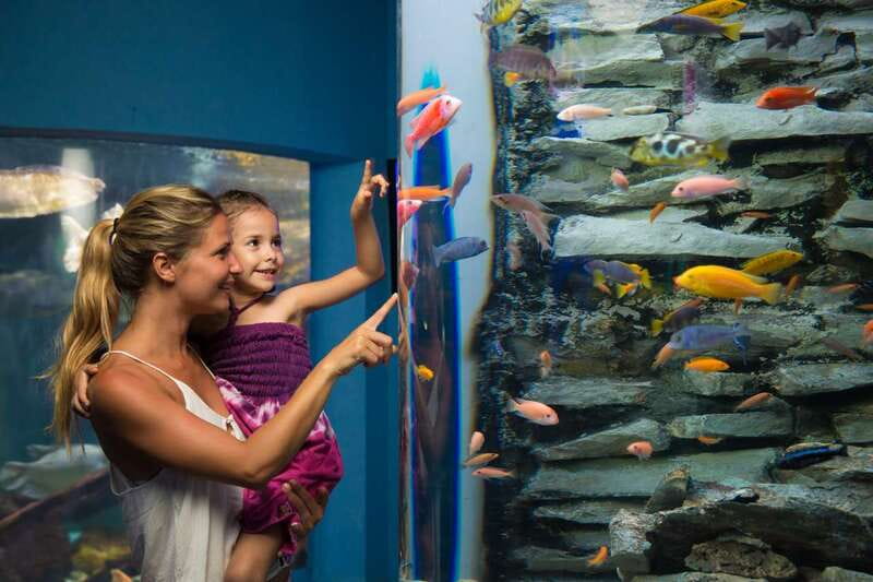 Cancún: Interactive Aquarium Admission - Dolphin Viewing: What You Get, What You Do Not