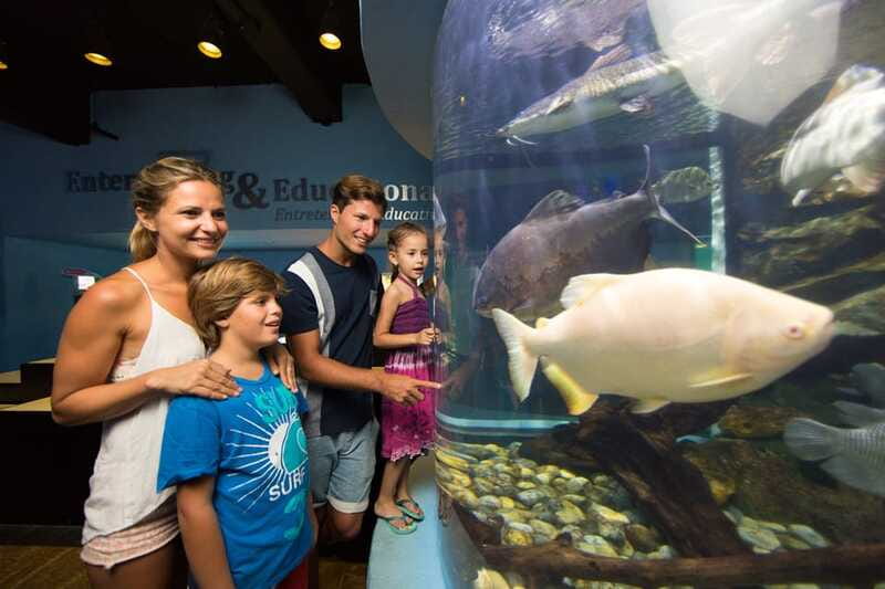 Cancún: Interactive Aquarium Admission - Price and Value: Is $17 a Good Deal?