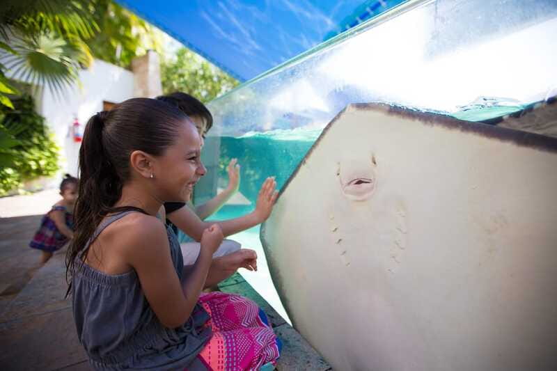 Cancún Interactive Aquarium Admission + Dolphin Presentation - Corals and Color: What to Actually Look For