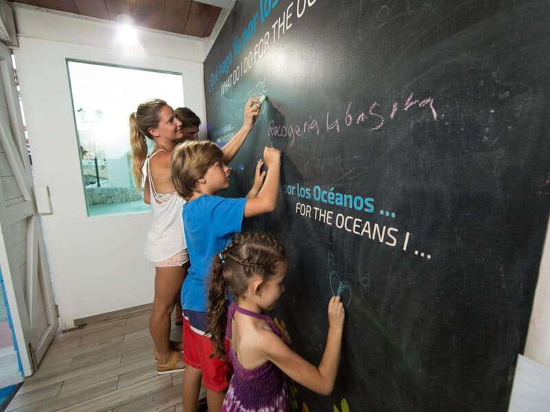 Cancún Interactive Aquarium Admission + Dolphin Presentation - The 7:00 PM Dolphin Presentation, Plus the No-Swim Reality