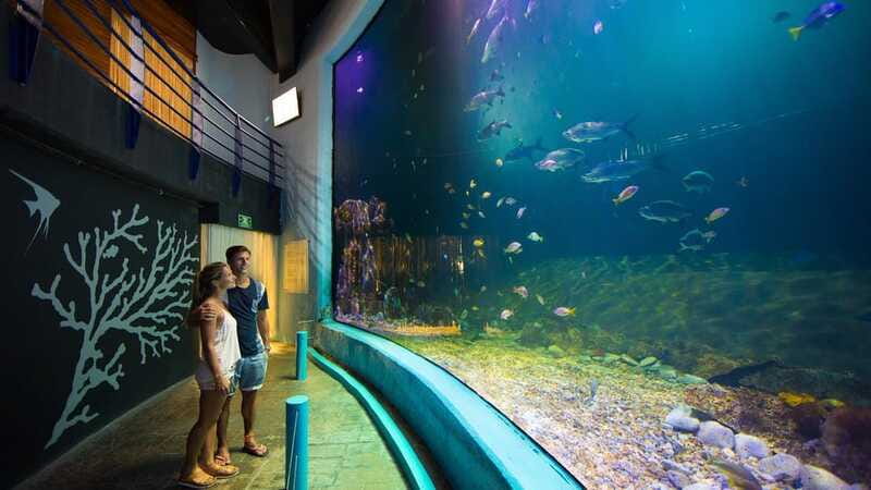 Cancún Interactive Aquarium Admission + Dolphin Presentation - Price and Value: Is $26 Worth It Without Photos or Swim?