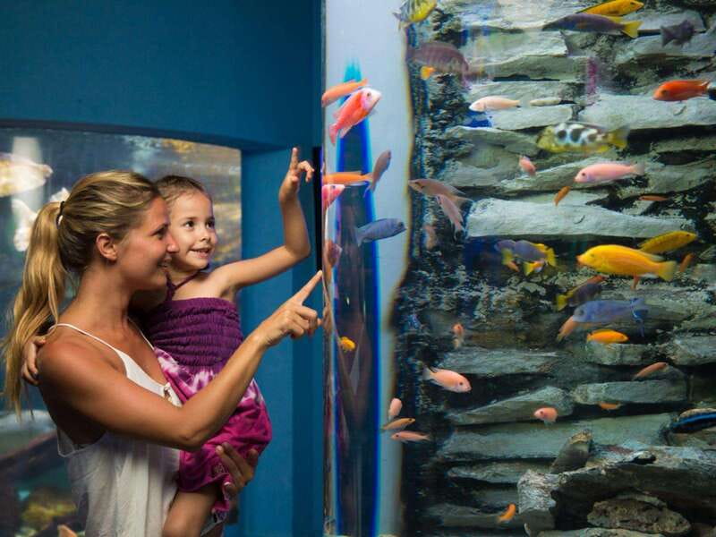 Cancún Interactive Aquarium Admission + Dolphin Presentation - Practical Tips That Keep the Day Smooth