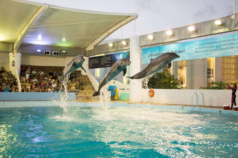 Cancún Interactive Aquarium Admission + Dolphin Presentation - Walking Through the Interactive Aquarium’s Sea Life Hall