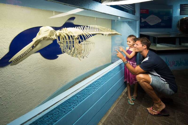 Cancún: Interactive Aquarium Admission - The Fish-Tank Walk: 1,195 Specimens in One Visit