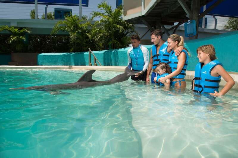 Cancun: Interactive Aquarium - Swim with Dolphins Splash - Key highlights to know before you go