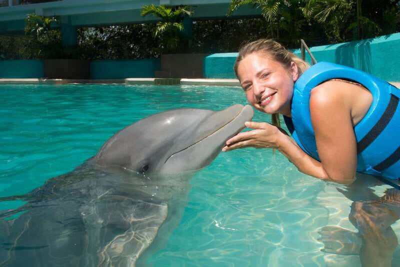 Cancun: Interactive Aquarium - Swim with Dolphins Splash - Where This Dolphin Swim Starts in Cancun, Plaza La Isla