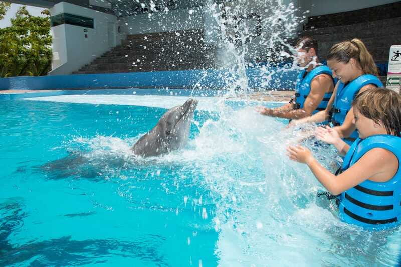 Cancun: Interactive Aquarium - Swim with Dolphins Splash - The In-Water Rules, Phones, Cameras, Jewelry, and Safety