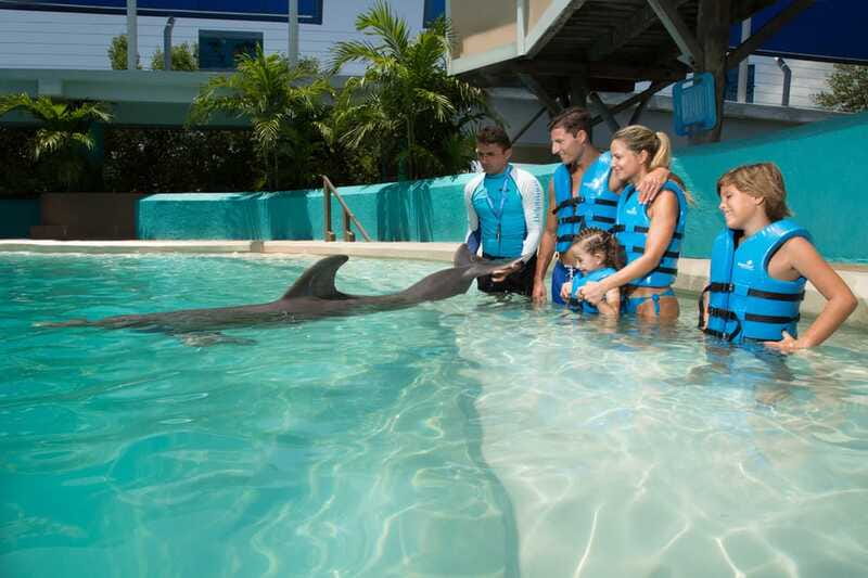 Cancun: Interactive Aquarium - Swim with Dolphins Splash - Price and Value in Cancun, Including Photo Costs