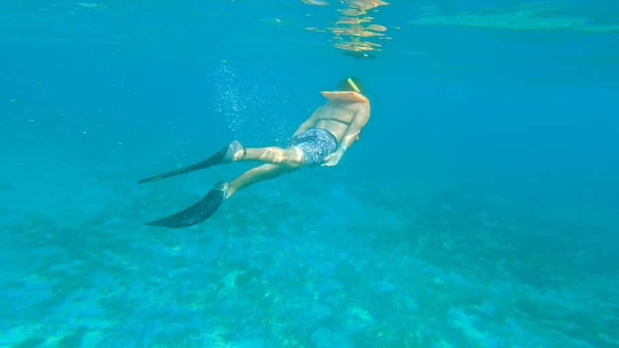 Cancun: Isla Mujeres Full Day Dancer Cruise - Meco’s reef session: fun water time with real limits