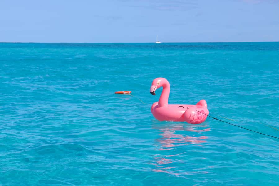 Cancun: Isla Mujeres Full Day Dancer Cruise - The Zaza Yacht and Beach Club stop: why it’s worth paying attention to
