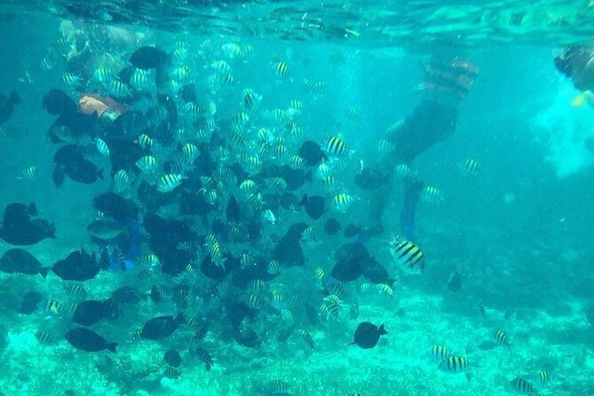 Cancun Jetski and Snorkel Adventure - The 2-Hour Timeline, Stop by Stop