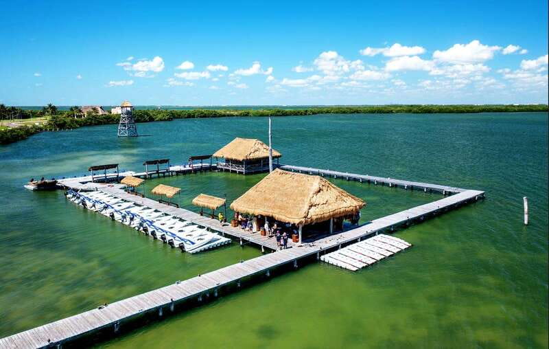 Cancun: Jungle Tour Adventure with Speedboat and Snorkeling - Price and value: $50 plus port and marine park fees