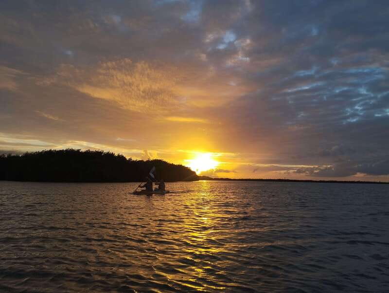 Cancun: Kayaking Tour in Nichupte Lagoon - Key points to know before you paddle Nichupte