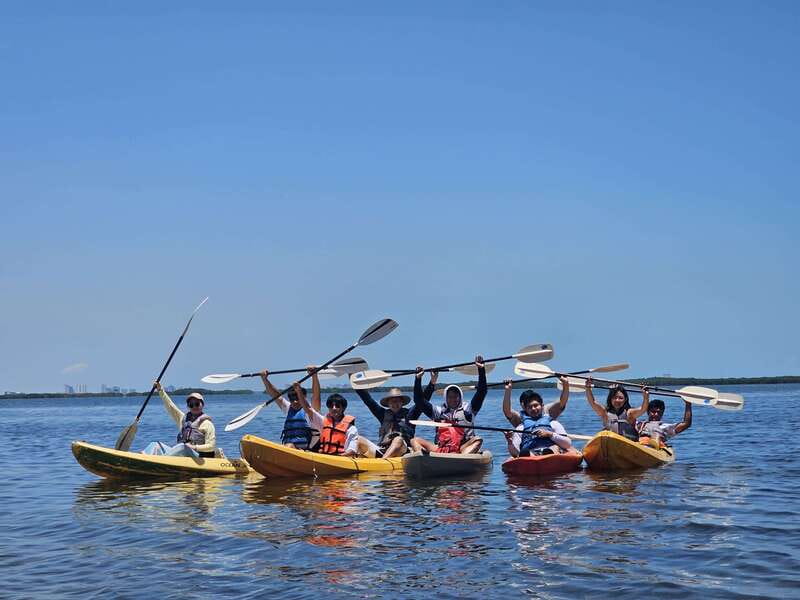 Cancun: Kayaking Tour in Nichupte Lagoon - Physical considerations: who should go, and who should sit this one out