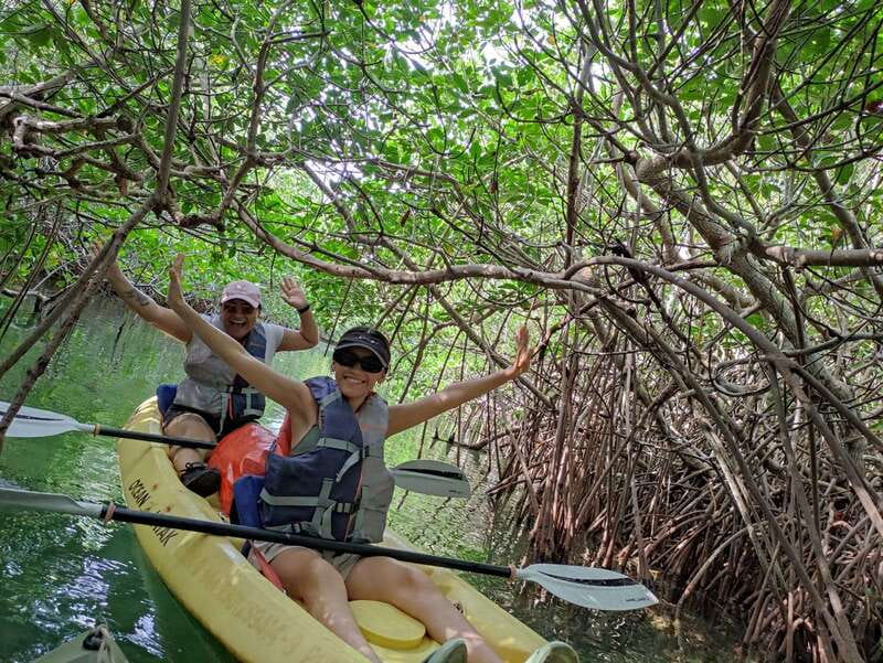 Cancun: Kayaking Tour in Nichupte Lagoon - What you’ll see in the mangroves: birds, fish, and “how is this real?” moments