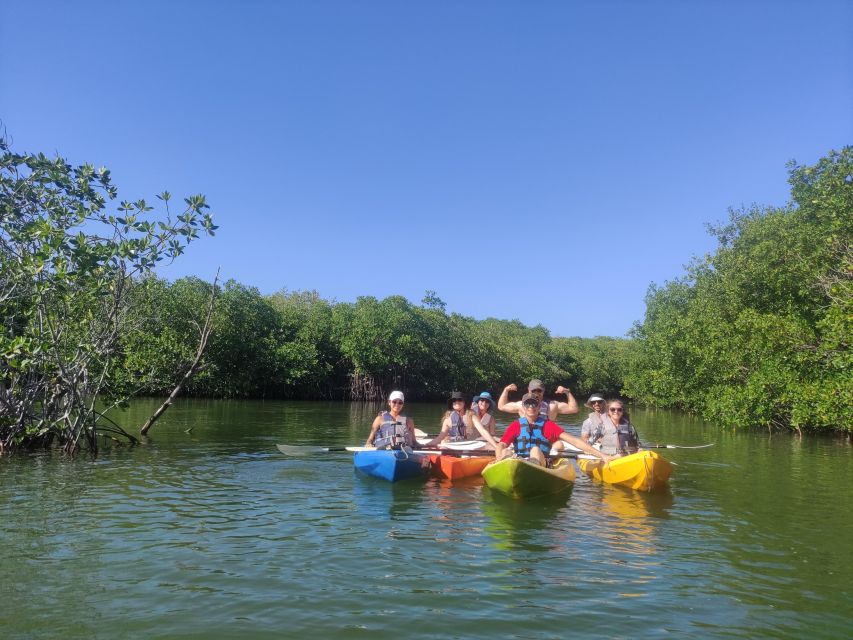 Cancun: Kayaking Tour in Nichupte Lagoon - Price and value: what $45 covers and why it can be worth it