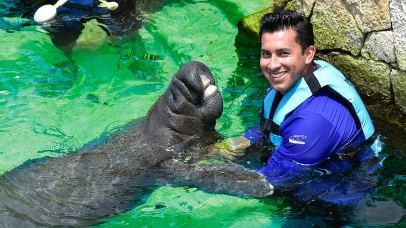 Cancún: Manatee Encounter on Isla Mujeres with Buffet Lunch - Practical packing checklist for a smooth manatee day