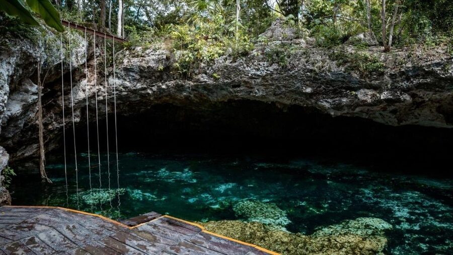 Cancun/Puerto Morelos: Tulum, Cenote & Playa del Carmen Trip - Price and What You Pay Extra for Tulum Entry
