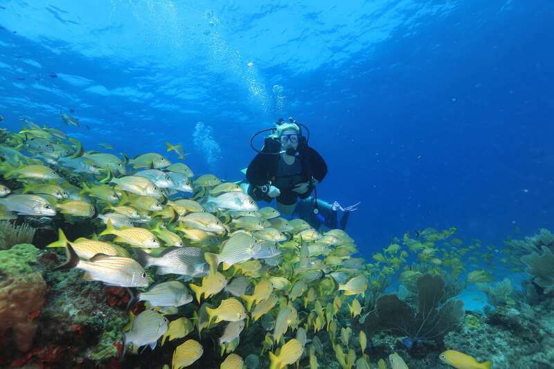 Cancun: Scuba Diving for Beginners, 2 Dives - Beginner Scuba in Cancun Without Certification, With Two Underwater Stops