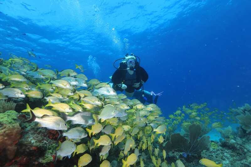 Cancun: Scuba Diving for Beginners, 2 Dives - Boat Timing, What the Day Feels Like, and Motion Sickness Reality