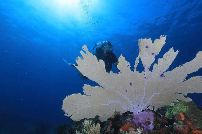 Cancun: Scuba Diving for Beginners, 2 Dives - Entrance Fees, Photos, and the Small Costs That Add Up