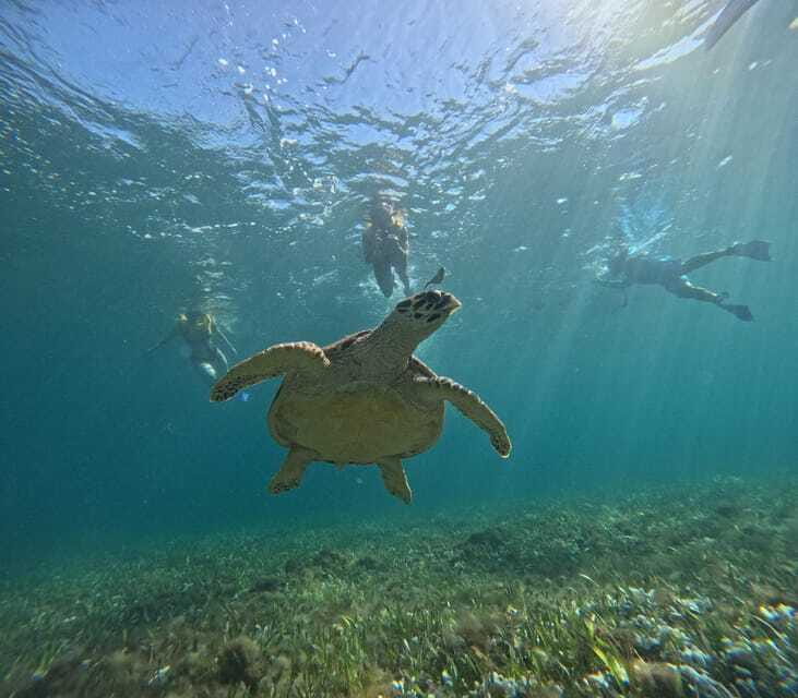 Cancun: Snorkeling Boat Tour with Gear - Cancun Underwater Museum Statues Built to Grow Coral