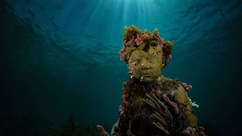 Cancun: Snorkeling Tour at MUSA The Underwater Museum - Manchones Reef: Your Second Snorkel, More Wildlife Encounters
