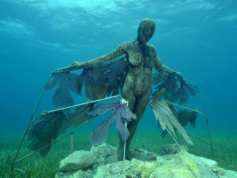 Cancun: Snorkeling Tour at MUSA The Underwater Museum - Who This Tour Fits Best, and Who Should Rethink It