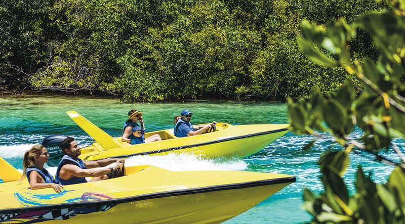 Cancun: Speedboat Mangrove Jungle & Snorkel Tour - The boat-and-snorkel rhythm: why the order matters