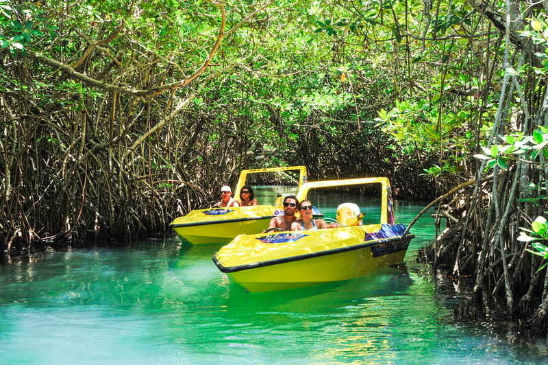 Cancun: Speedboat Mangrove Jungle & Snorkel Tour - Should you book Cancun Speedboat Mangrove Jungle and Snorkel?
