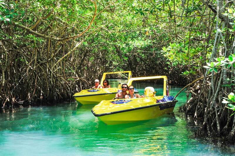 Cancun: Speedboat Mangrove Jungle & Snorkel Tour - Nichupte Lagoon mangroves: where you look, not just watch