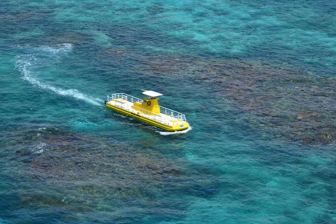 Cancun Submarine and Optional Snorkeling Tour - Price and Logistics: The Real Cost Check Before You Go