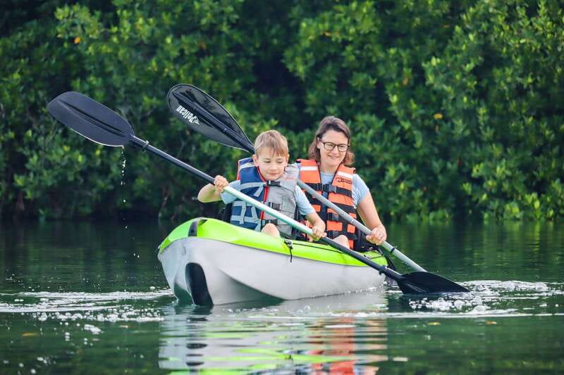 Cancun: Sunset Kayak Experience in the Mangroves - Key points I’d base your decision on
