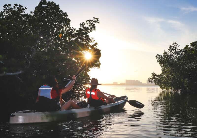 Cancun: Sunset Kayak Experience in the Mangroves - Who This Suits Best (and Who Might Want to Skip It)