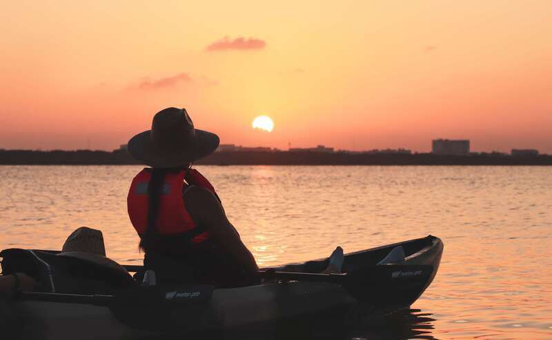 Cancun: Sunset Kayak Experience in the Mangroves - Stop Two: Second Guided Stretch, More Wildlife Chances, Sunset Light (45 Minutes)