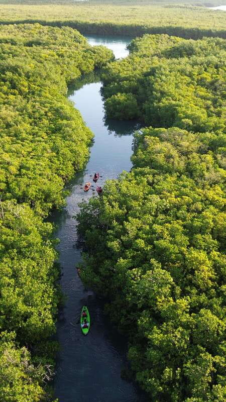 Cancun: Sunset Kayak Experience in the Mangroves - Getting There: Go Kayak Cancun at Marina Scuba Cancun (Hotel Zone)