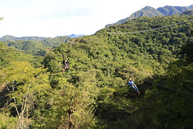 Canopy River Zipline Tour and Mule Ride - Price and what makes $120 feel fair for 5 hours