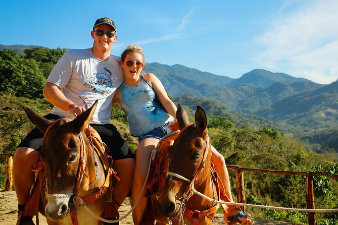 Canopy River Zipline Tour and Mule Ride - Getting to Canopy River: transport, meeting points, and time reality