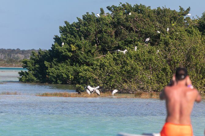 Catamaran Adventure: Sailing and Swimming in the Bacalar Lagoon - Sailing the Lagoon and Chilling With a Swim