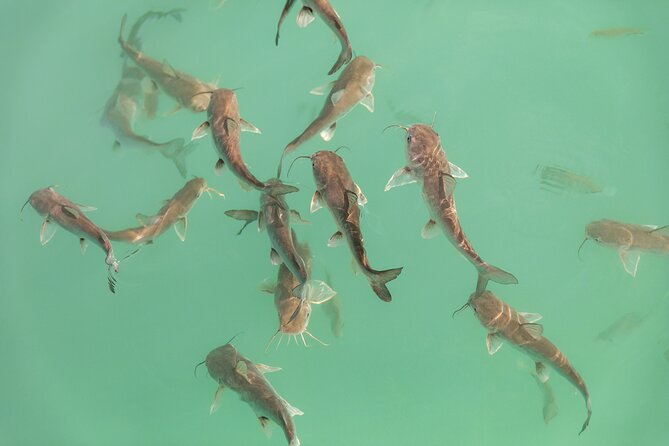 Catamaran Adventure: Sailing and Swimming in the Bacalar Lagoon - Photos and Timing: Getting Better Shots Without Stress