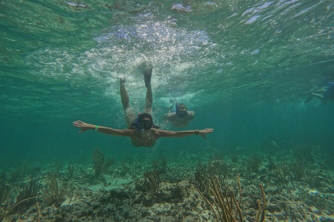 Catamaran Cruise in Riviera Maya With Snorkeling & Beach Club - Who should book this, and who might want a different day