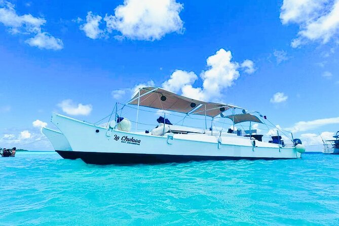 Catamaran Snorkel Adventure to El Cielo and The Money Bar Beach - Start point at The Money Bar Beach Club, and what to expect before boarding
