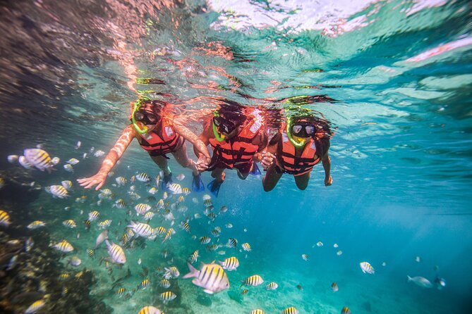 CATAMARAN to Isla Mujeres, Snorkel & Beach Club by Xcaret - El Meco Reef snorkeling, warm shallow water and underwater art