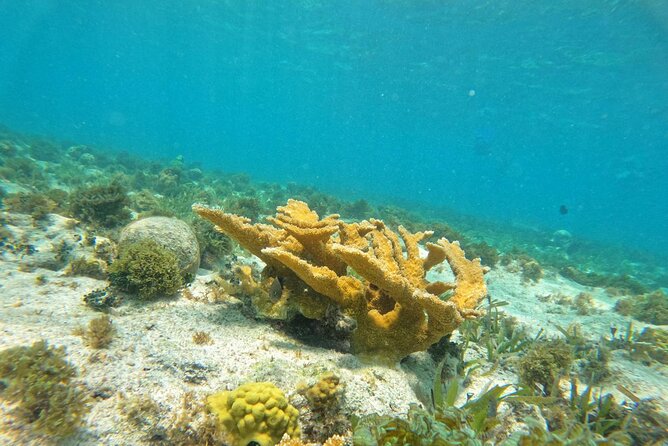 Catamaran with Snorkeling and North Beach, Isla Mujeres - The Sail to Isla Mujeres, Plus the Free Bar That Makes It Feel Like a Vacation