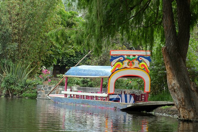 CDMX Enjoy a unique tour of Xochimilco and Coyoacán - Xochimilco: the trajinera ride and why it feels different
