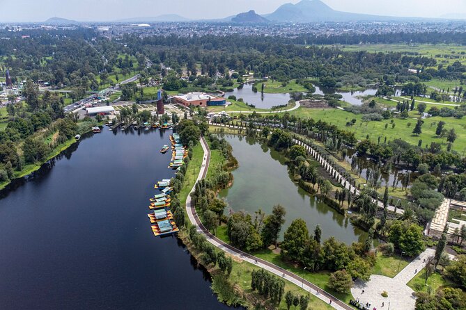 CDMX Enjoy a unique tour of Xochimilco and Coyoacán - Food, drinks, and the optional lunch reality