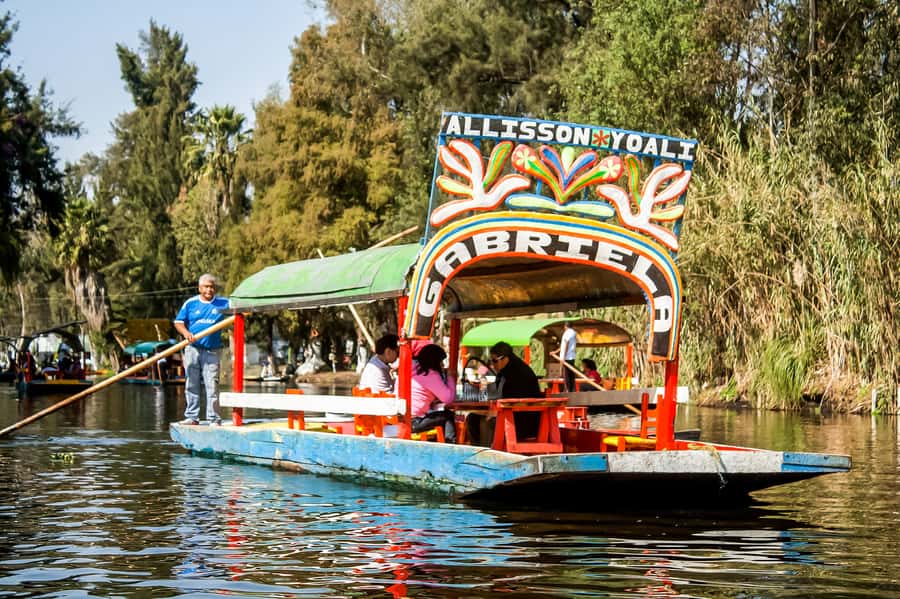 CDMX: Xochimilco, Coyoacan, Frida Kahlo Museum & Murals Tour - Food Timing: Lunch Option and What’s Included
