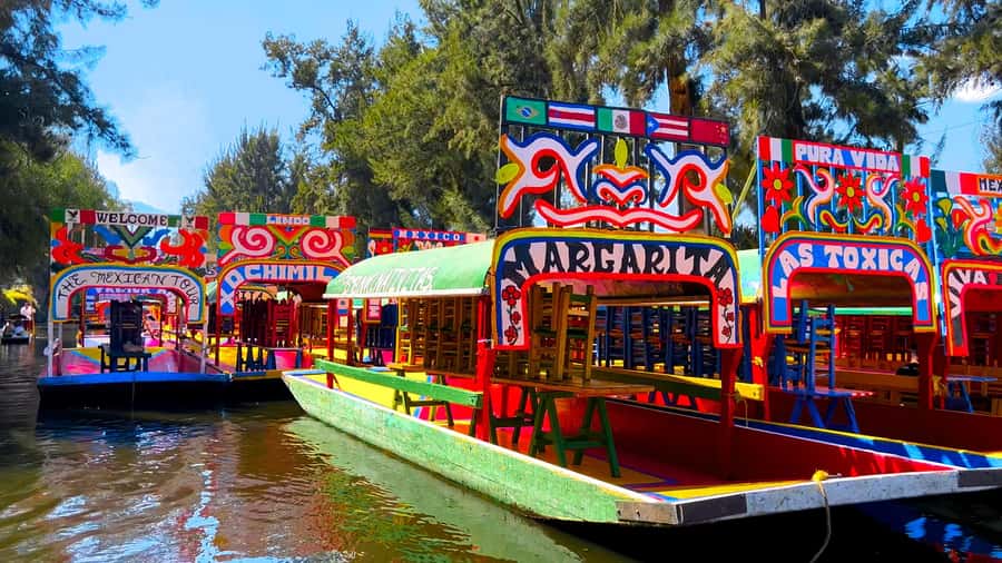 CDMX: Xochimilco Trajinera Party, Drinks, Mariachi & Tacos - Price and Value: Why $41 Can Make Sense Here