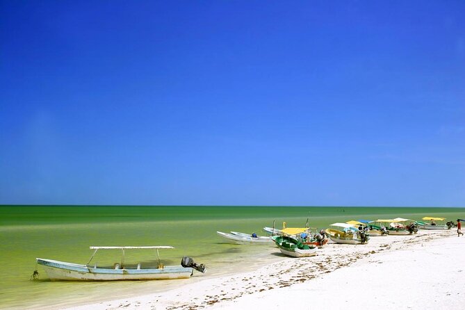Celestun Beach and Mangrove Boat Ride from Merida - Key points I think you’ll care about